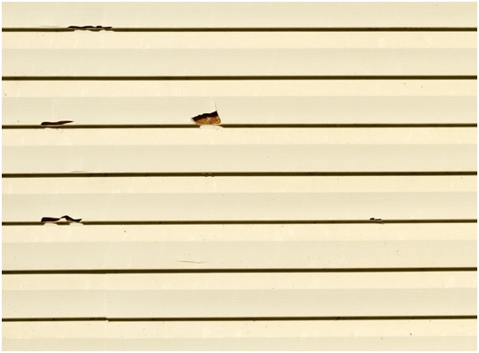 Signs That Signal A Need To Replace Your Siding