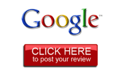 Google Review Button