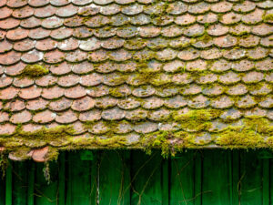 Stark Bemoostes Dach Mit Kaputter Dachluke roof moss